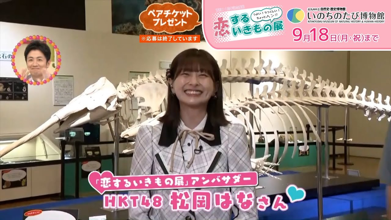 【動画】HKT48 松岡はな「恋するいきもの展」中継映像【タダイマ！】