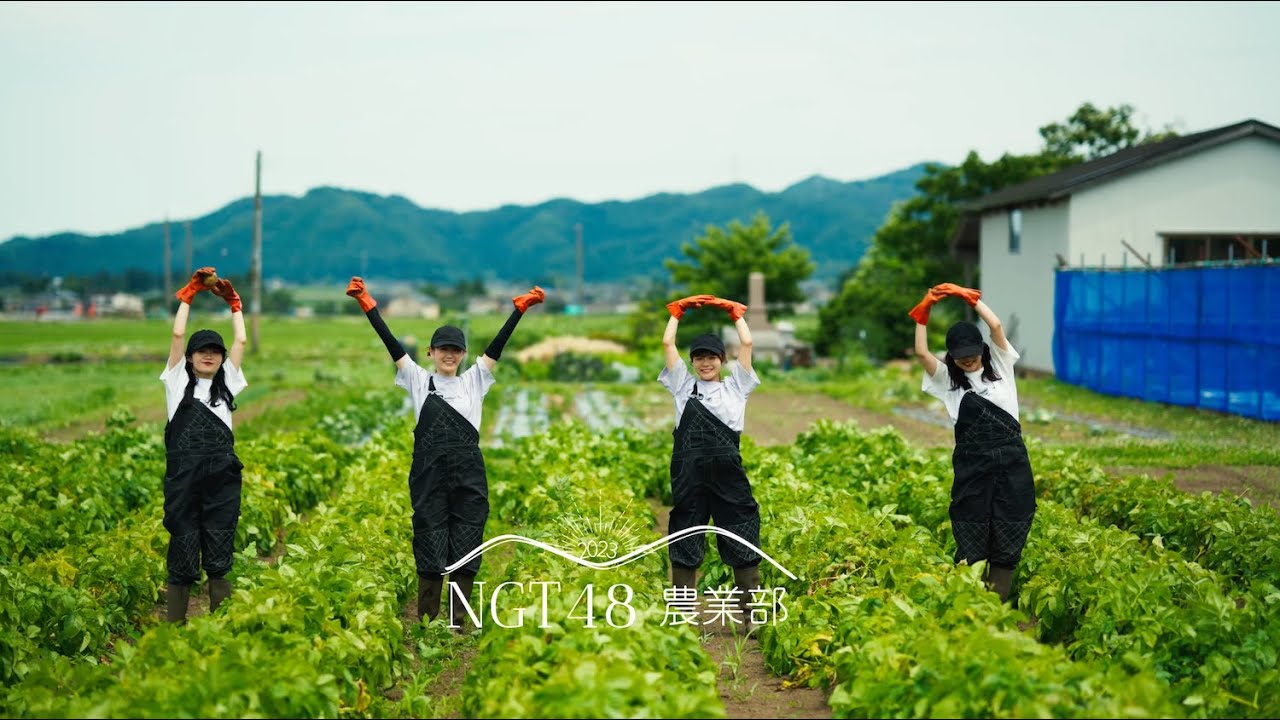 【動画】NGT48農業部2023 今日の農作業 #8『じゃがいもの収穫』