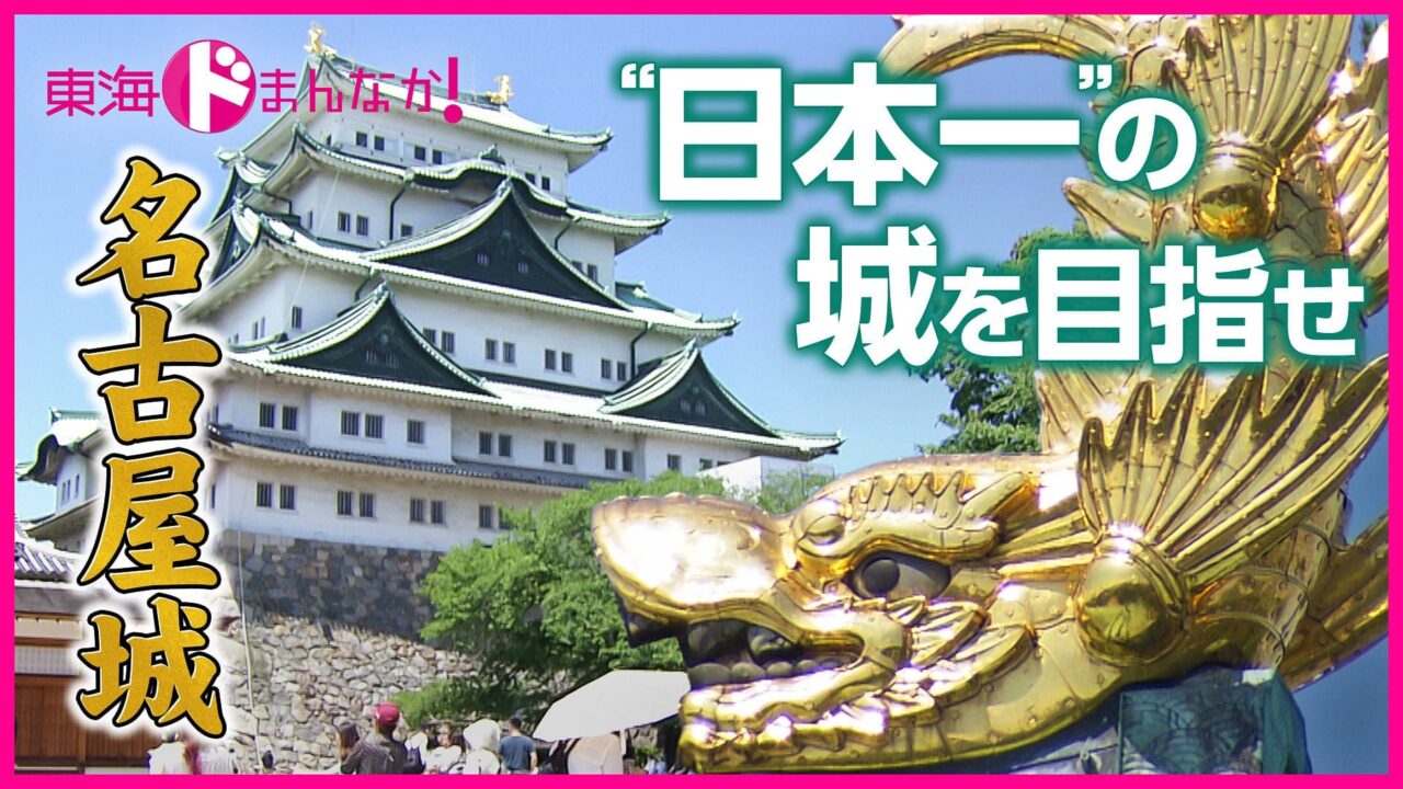 SKE48 鎌田菜月出演「東海 ドまんなか！」どうする！名古屋城 〜“日本一の城”をめざせ〜【2025.5.30 19:30〜 NHK総合・名古屋】